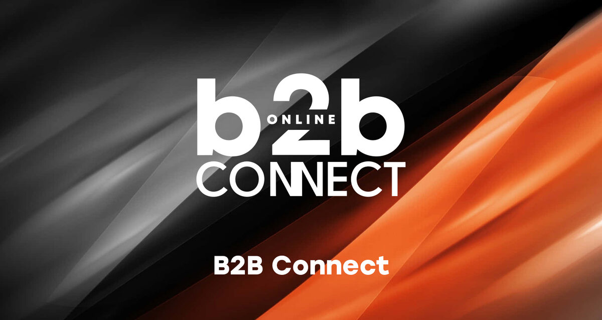 B2B Connect — обложка события