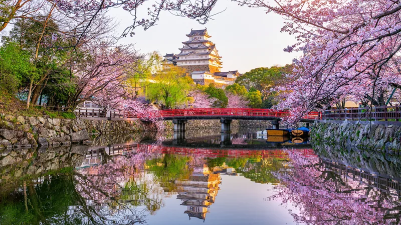 Japan weighs online casino website blocking