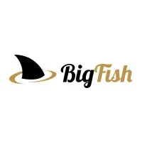 BigFish Partners — CPA-сети