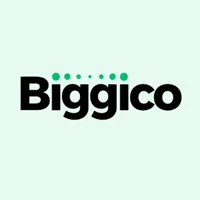 Biggico — CPA-сети